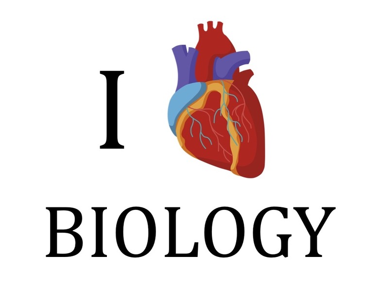 Modern Biology (BIO1320) Texas State University
