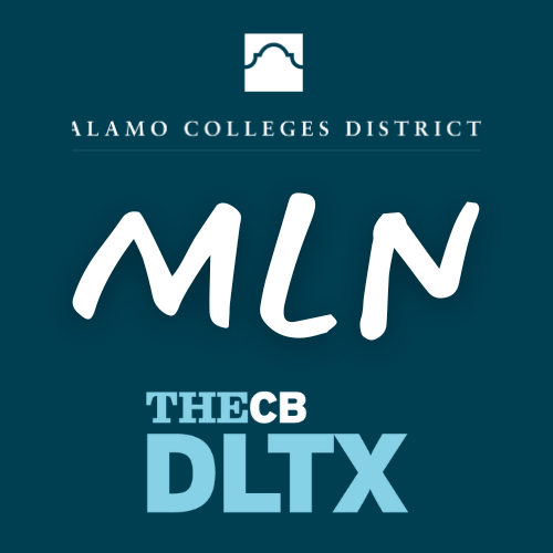 Texas Micro-Credential Learning Network Strategic Implementation Plan ...