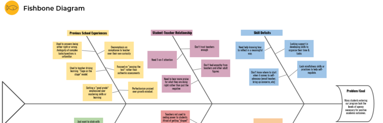 Fishbone Diagram