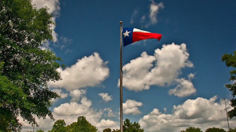 A Brief History of OER in Texas