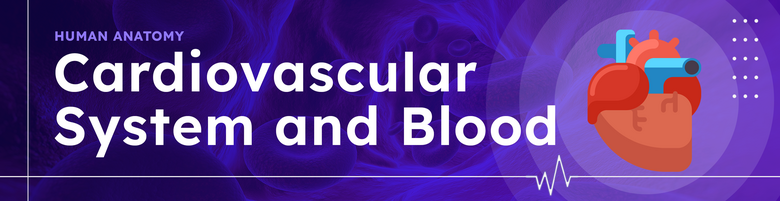 Human Anatomy & Physiology - Cardiovascular System & Blood